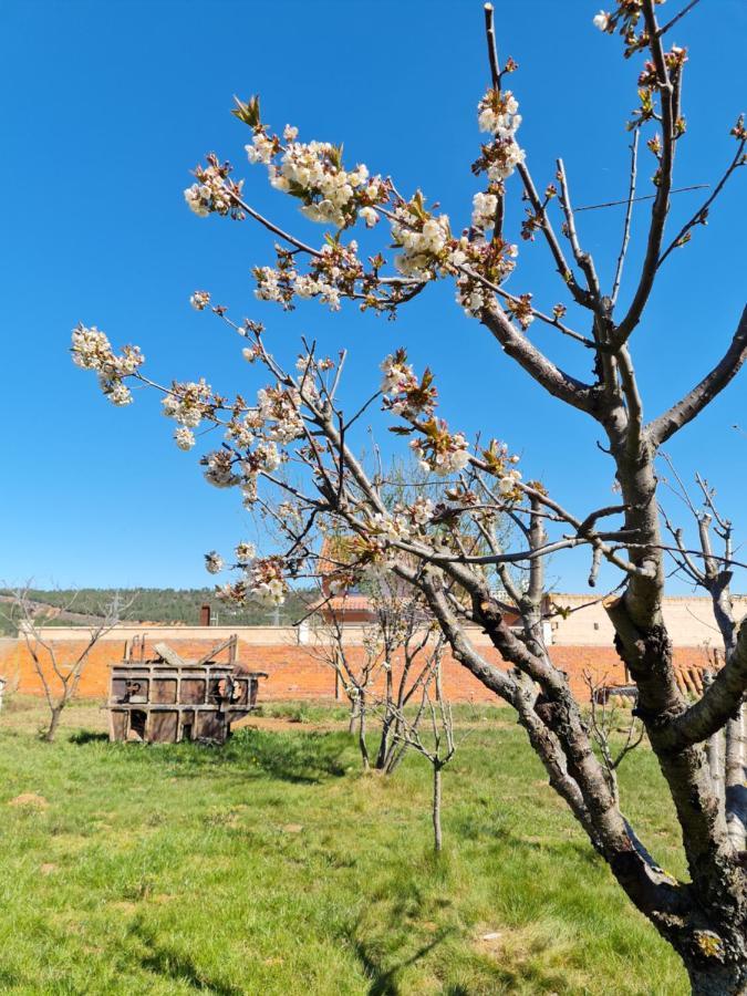 Casa Rural Las Aguedas Murias de Rechivaldo Dış mekan fotoğraf