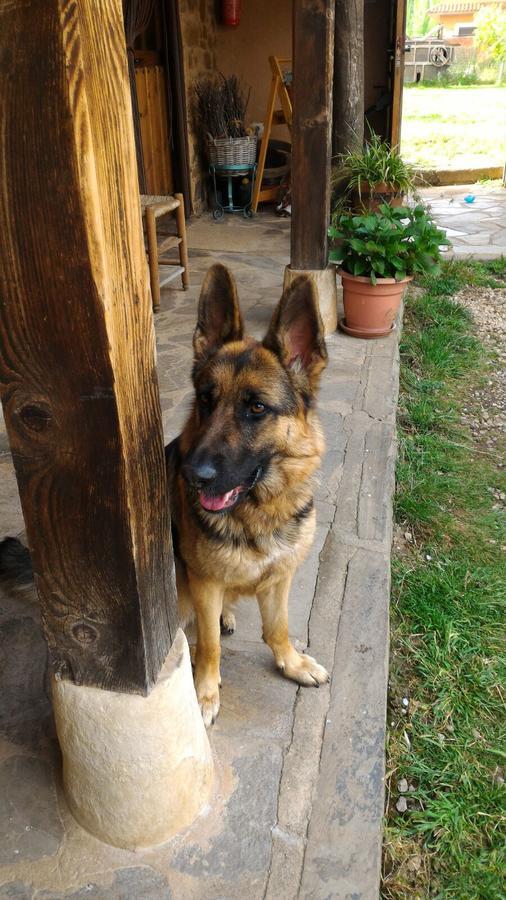 Casa Rural Las Aguedas Murias de Rechivaldo Dış mekan fotoğraf